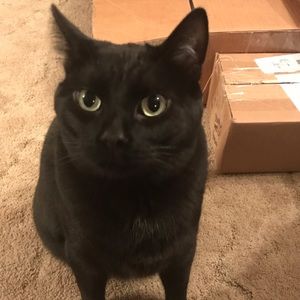 Meet your Posher, Erin